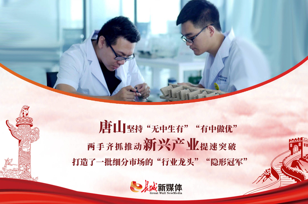 無畏風雨勇向前——看“全省第一”背後的唐山營商環境之變