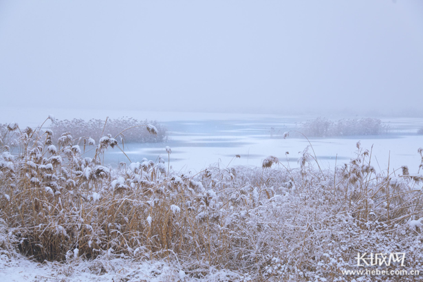 【生態文明@濕地】淡裝素顏 衡水湖雪景美如水墨畫
