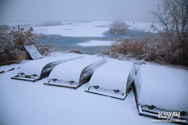 【生態文明@濕地】淡裝素顏 衡水湖雪景美如水墨畫