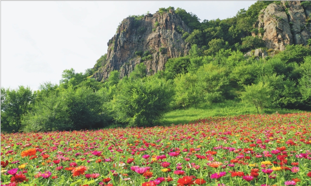 趣説 “雙芽山”名字來自倆丫頭