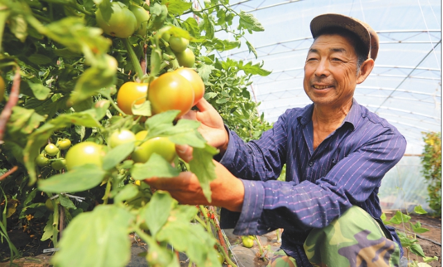 加格達奇區貧困戶不等不靠脫貧動力十足