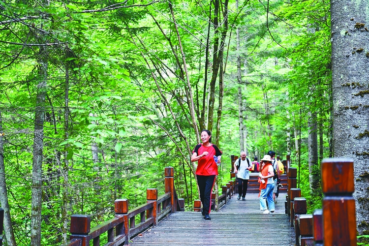 大海林紅松養心谷原始林景區 65535個/cm3！氧出新高度