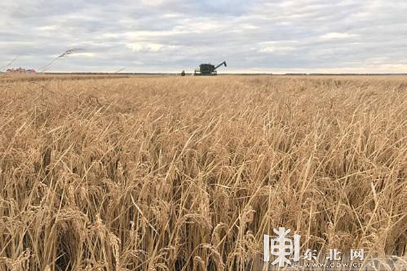 建三江墾區：堅守耕地紅線 端好“中國飯碗