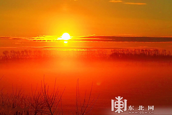 太平溝國家級自然保護區現“紅裝素裹”冬日美景