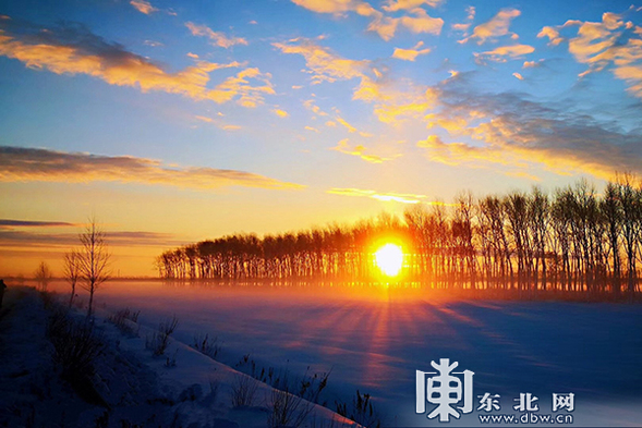 太平溝國家級自然保護區現“紅裝素裹”冬日美景