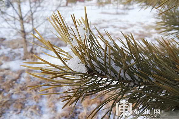 中國最冷小鎮迎春天首場降雪