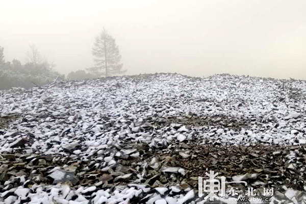 中國最冷小鎮呼中迎2020秋後首場降雪