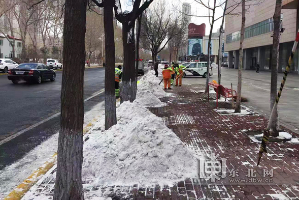 夜降中雪 哈爾濱市兩萬餘清雪大軍晝夜奮戰保路暢通