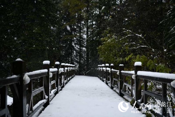 “雙節”長假中國雪鄉五花山色披銀裝