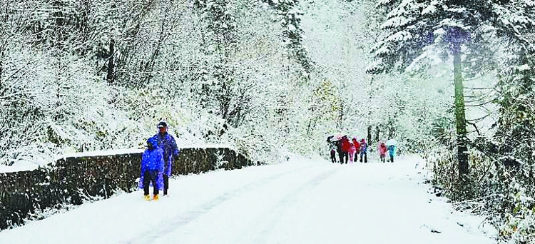 龍江森工集團各景區 人氣滿滿雪添亮點