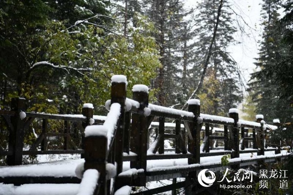 “雙節”長假中國雪鄉五花山色披銀裝