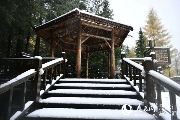 “雙節”長假中國雪鄉五花山色披銀裝