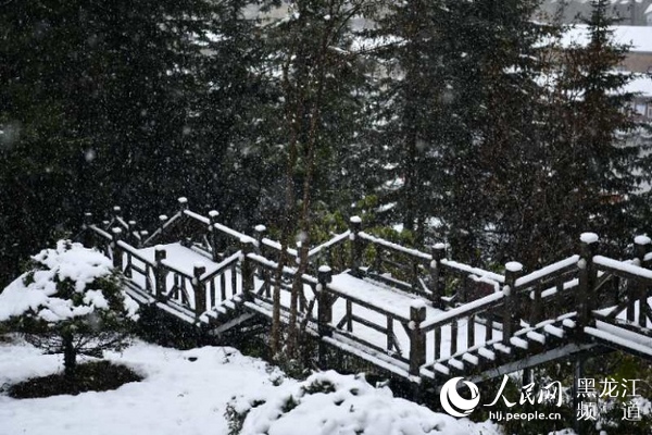 “雙節”長假中國雪鄉五花山色披銀裝