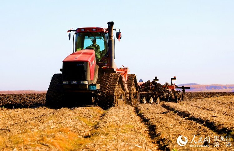 北大荒集團秋季農業生産由田間收穫轉入秋整地階段