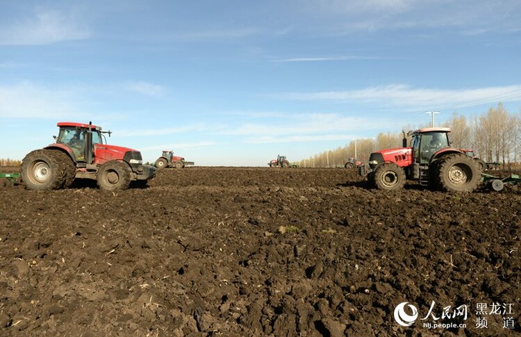 北大荒集團秋季農業生産由田間收穫轉入秋整地階段