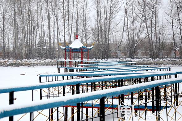 大興安嶺呼中區迎來初春以來最大降雪