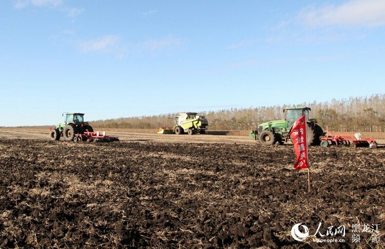 北大荒集團秋季農業生産由田間收穫轉入秋整地階段