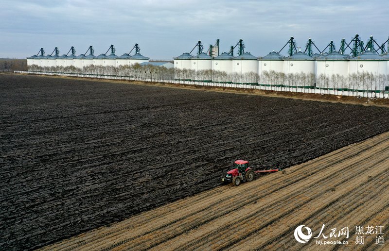 北大荒集團秋季農業生産由田間收穫轉入秋整地階段