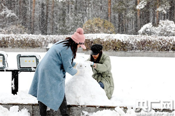 黑龍江漠河：迎入秋以來最大降雪 雪深超10釐米_fororder_W020201027518124797860