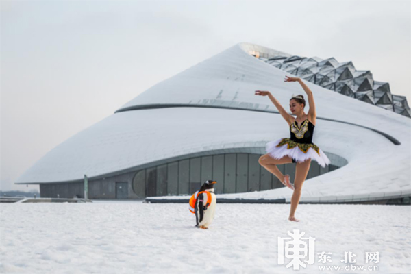 15個必到網紅打卡地、5條精品線路、10大主題節慶..... 黑龍江冰雪季開啟，今冬這麼玩