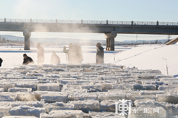 “北極漠河冰雪大觀園”開始採冰