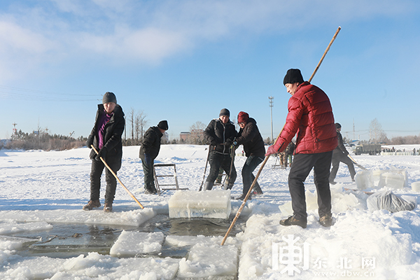 “北極漠河冰雪大觀園”開始採冰