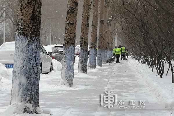 黑龍江省迎來今冬以來最大暴風雪