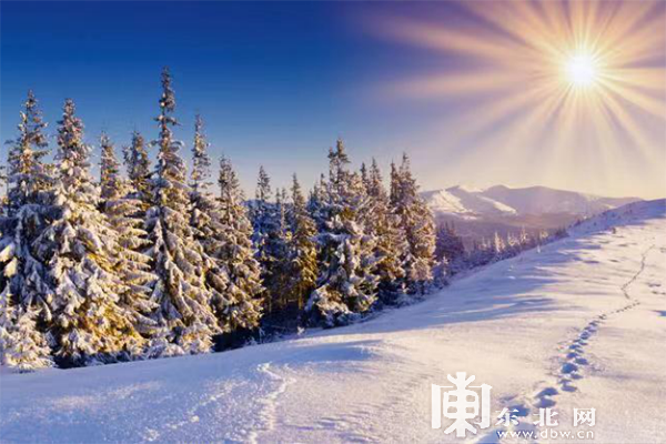 下雪啦！黑龍江奉上冰雪百景絢麗景致