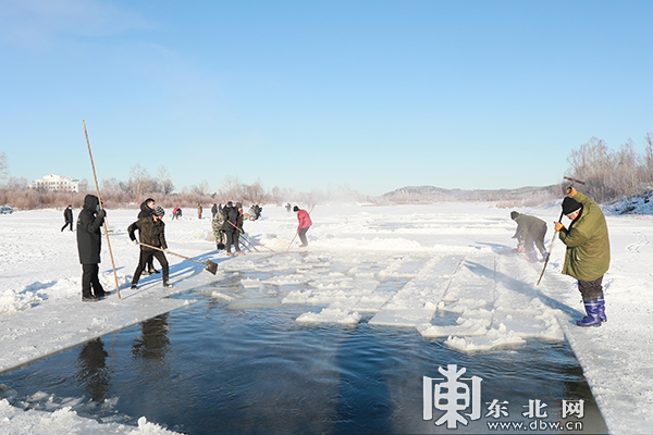 “北極漠河冰雪大觀園”開始採冰