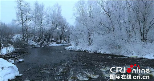 【黑龍江】【原創】遜克縣第二屆霧凇冰雪節暨中俄百人冬泳表演活動啟幕