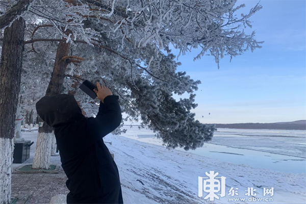 中俄界江黑龍江呼瑪段江畔現唯美霧凇美景