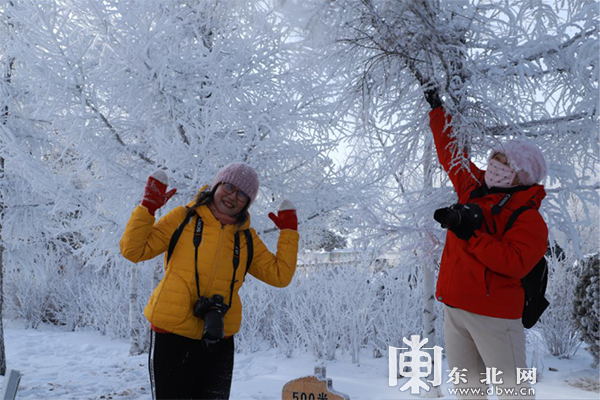 中俄界江黑龍江呼瑪段江畔現唯美霧凇美景