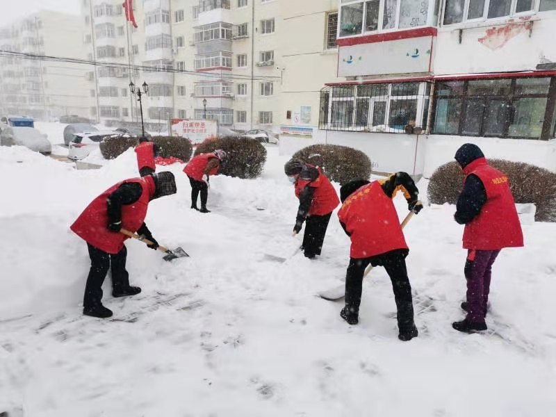 哈爾濱市平房區凝聚各方力量  共同奮戰今冬首場大規模降雪