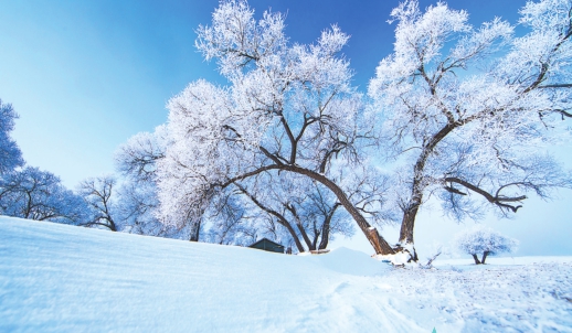 冰雪在童話裏晶瑩