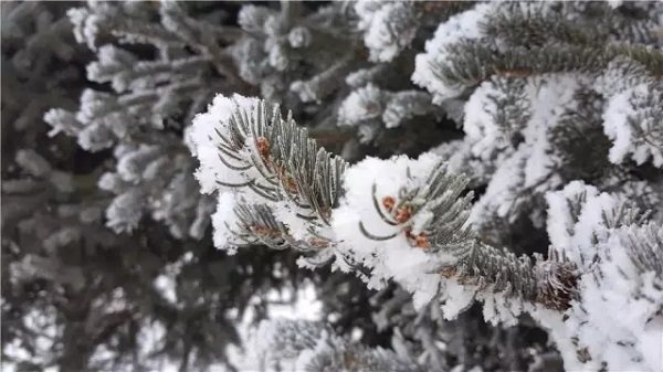 赴“世界的黑河”之約， 享“沸騰吧冰雪”之樂