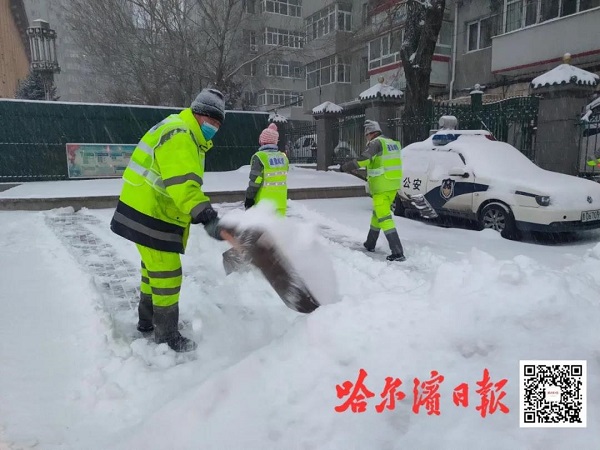 一座有冰雪更有溫度的城市 | 哈爾濱全城動員抗擊今冬首場暴風雪紀實