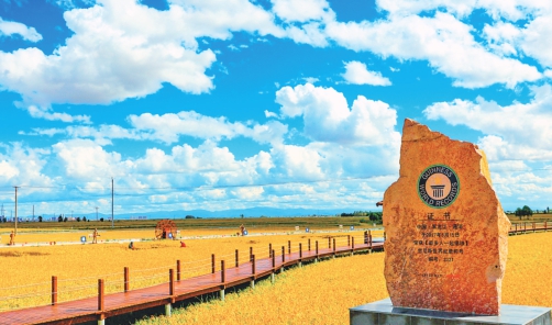 通河聚力綠色低碳發展營造宜業宜居沃土