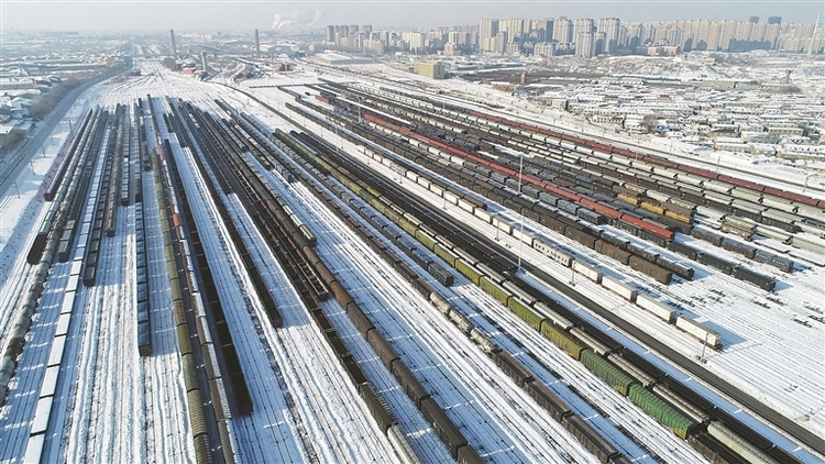 哈爾濱南站貨運長龍雪中臥