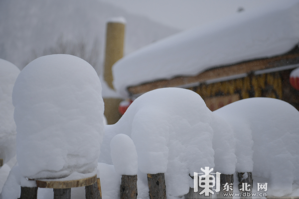 大雪過後 雪鄉的雪蘑菇又“長”胖了