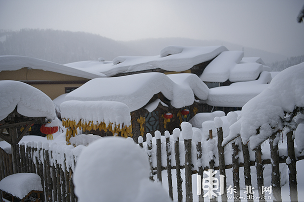 大雪過後 雪鄉的雪蘑菇又“長”胖了