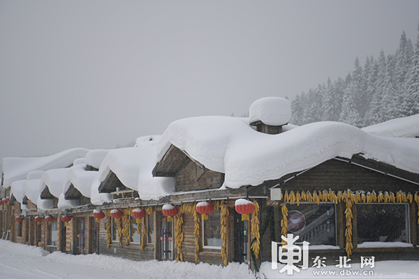 大雪過後 雪鄉的雪蘑菇又“長”胖了