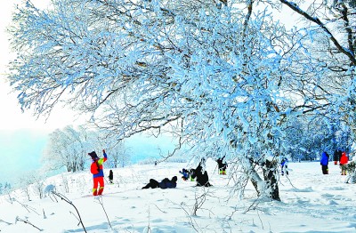 黑龍江：冰封雪飄如詩畫 文體賦能暖寒冬