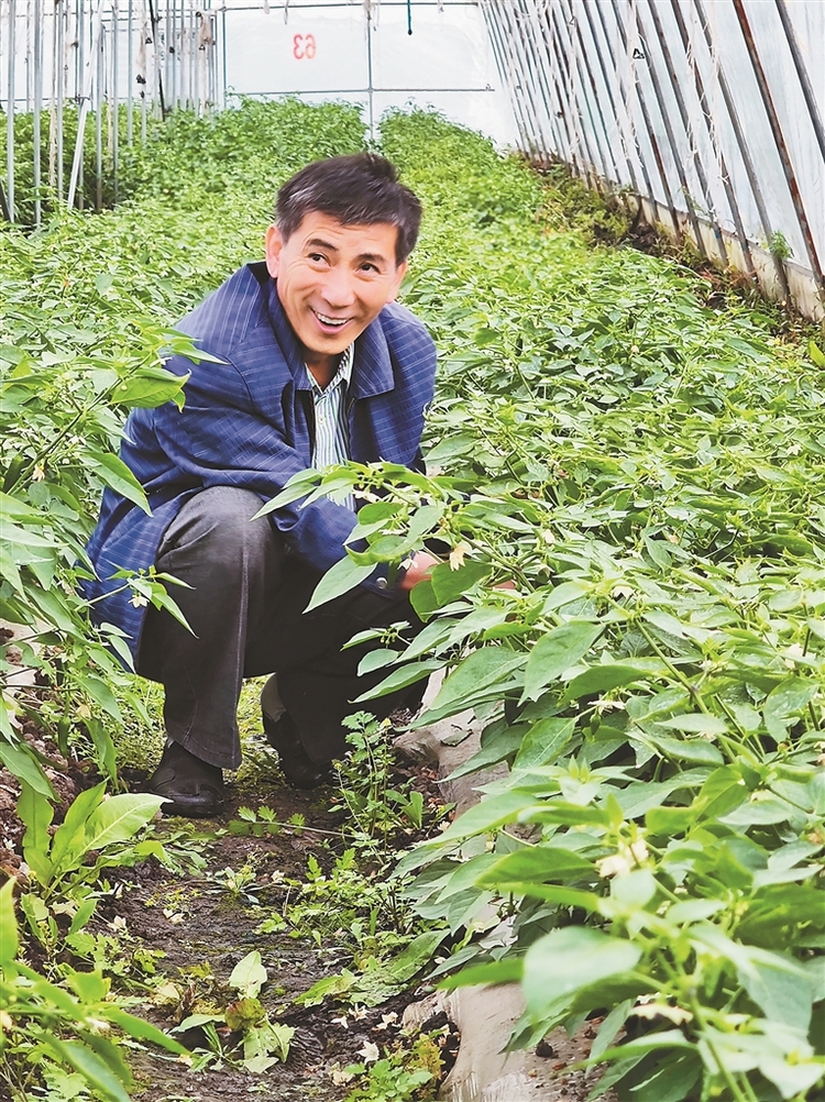 伊春人樂享幸福標配