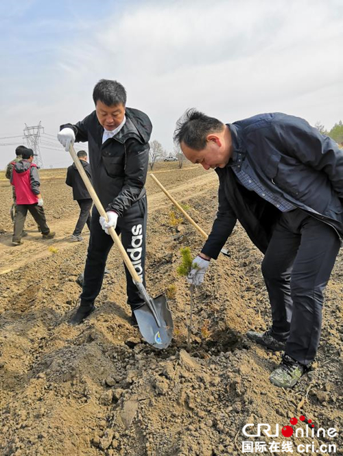 【黑龍江】【供稿】心連心開展義務植樹 手牽手共建生態依蘭