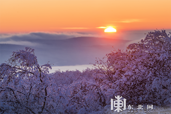 春季 到雪鄉來看雪