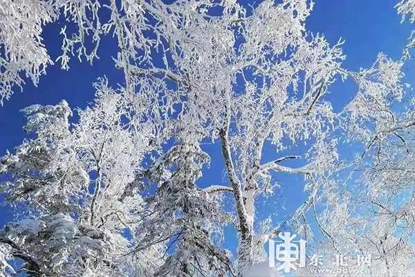 春季 到雪鄉來看雪