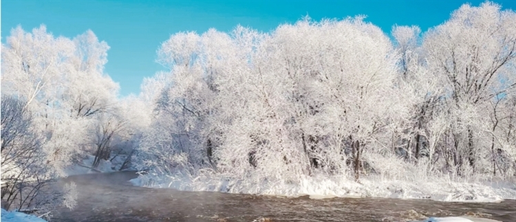 春日龍江 雪仍在燒