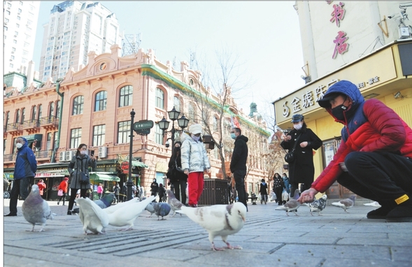 中央大街人沐陽光春逐鳥來