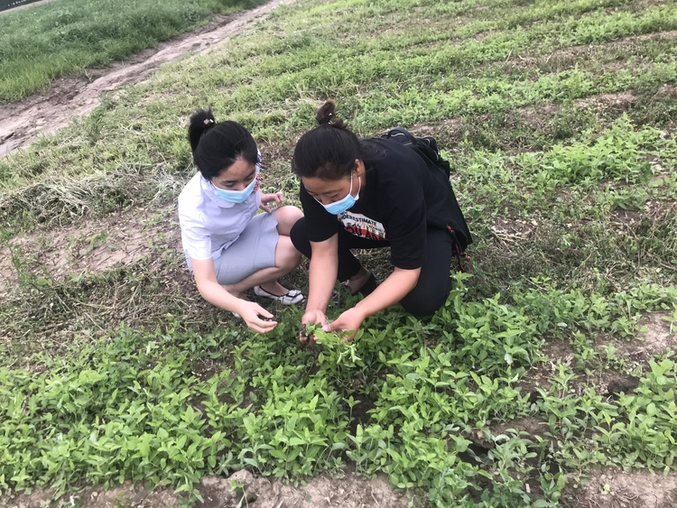 哈爾濱銀行：農業産業的及時雨，鄉村振興活水源_fororder_11