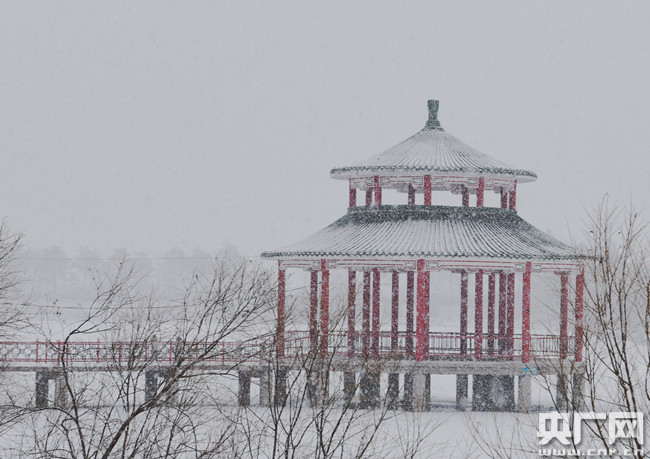 黑龍江大興安嶺呼瑪縣四月飛雪